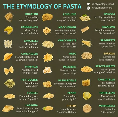 Pasta Types, Food Infographic, Cooking 101, Food Info, Food Names, Cooking Basics, Food Facts, Pasta Recipe, Pasta Dishes