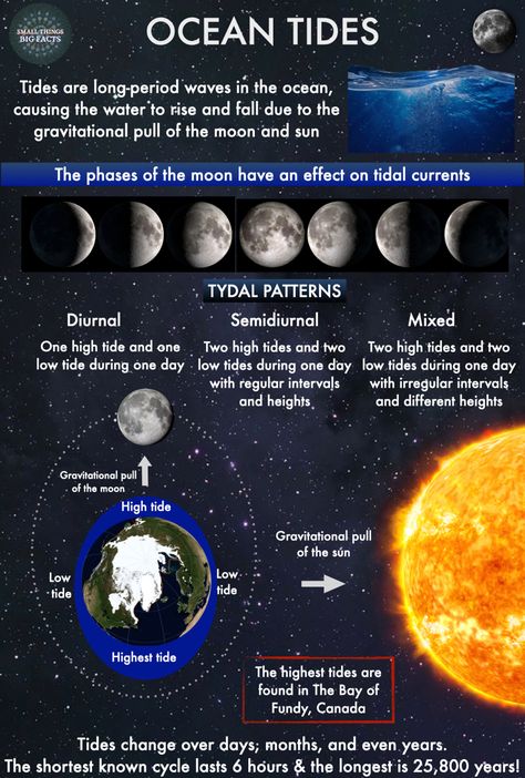 Moon And Tides Science Project, Tides And The Moon, Ocean Tides Activity, Moon And Tides, Moon Tides, Solar System Painting, Substitute Teacher Tips, Photo Journaling, Moon Science