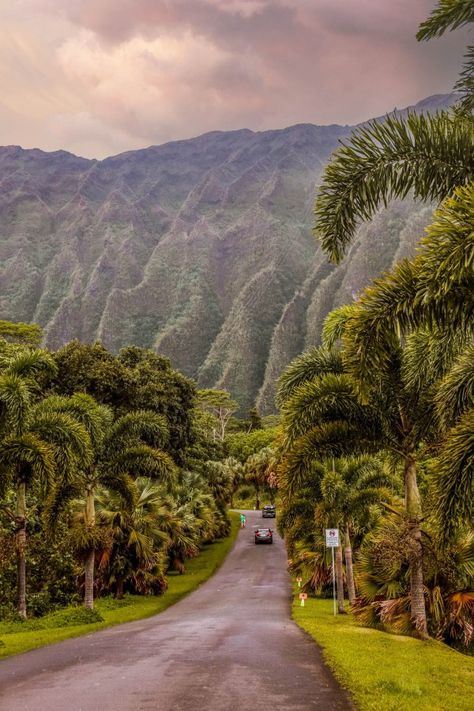 Oahu Bucket List: 46 of the Best Things to do in Oahu | Ho'omaluhia Botanical Gardens #simplywander #oahu #hawaii Oahu Vacation, Turtle Bay Resort, Vacations In The Us, Moving To Hawaii, Beach Cove, Hawaii Pictures, Hawaii Life, Hawaii Beaches, Honolulu Hawaii