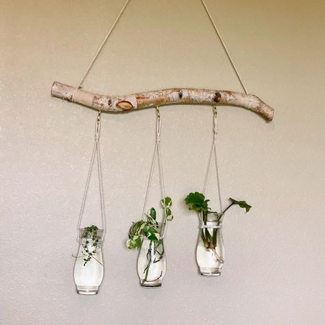 Diy Hanging Propagation Station, Diy Plant Propagation Wall, Diy Propagation Wall, Propagation Ideas, Diy Propagation Station, Plant Propagation Wall, Hanging Propagation Station, Propagation Wall, Hanging Propagation