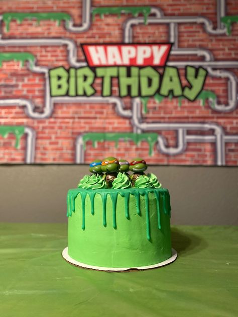 Ninja Turtles Birthday Cake Diy, Tmnt Cake Birthdays Teenage Mutant Ninja, Ninja Turtle Bday Cake, Teenage Mutant Ninja Turtle Cake Easy, Ninja Turtles Smash Cake, Ninja Turtle Cake Easy, Ninja Turtle Smash Cake, Ninja Turtle Theme Cake, Tmnt Birthday Cakes