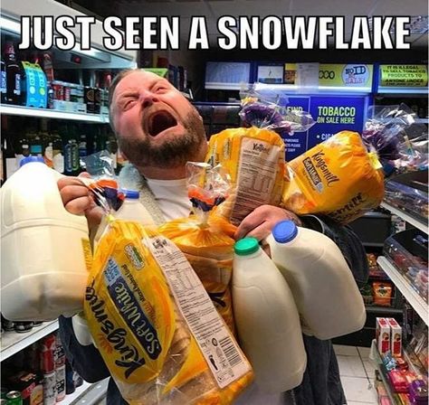 Trip to grocery store with snow on the way is like the start of the zombie apocalypse #snowinthesouth #northcarolina #snowday Snow Meme, Winter Humor, Snow Humor, Funny Weather, Knitting Humor, Funny Picture, Can't Stop Laughing, Someecards, Bones Funny