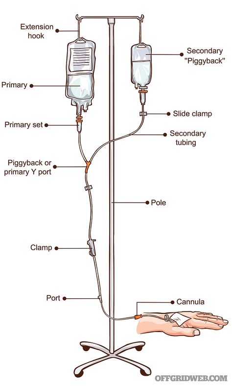 Nursing School Studying Cheat Sheets, Nursing School Inspiration, Studera Motivation, Nursing School Essential, Medical School Life, Nursing School Motivation, Basic Anatomy And Physiology, Nurse Study Notes, Iv Fluids