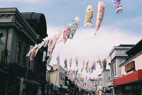 Japan Film Photography, Japan Film, Photography Japan, 35mm Photography, Japan Aesthetic, Aesthetic Japan, Kites, Slice Of Life, Film Aesthetic