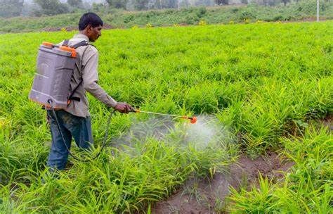 Herbicides And Pesticides, Pesticides For Plants, Agriculture Pictures, Flowery Meadow, Biological Hazard, Agriculture Photos, Killing Weeds, Agriculture Projects, Caricature Wedding