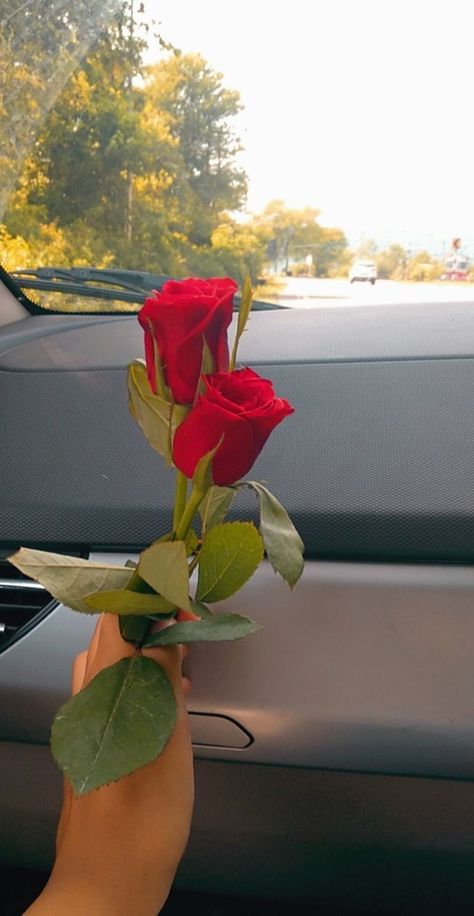 Car And Flowers Aesthetic, Rose In Car Snap, Flowers In Car Snapchat, Fack Snap Streak, Fake Rose Snap, Flower Snap Streaks, Rose Snaps Snapchat, Rose Snap Story, Rose Snapchat Stories