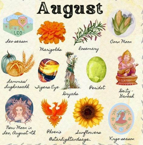 August Symbols, Flower For August, Birth Month Symbols, August Zodiac, Corn Moon, Bujo Layout, Sweet Magic, Hello August, Twenty Twenty