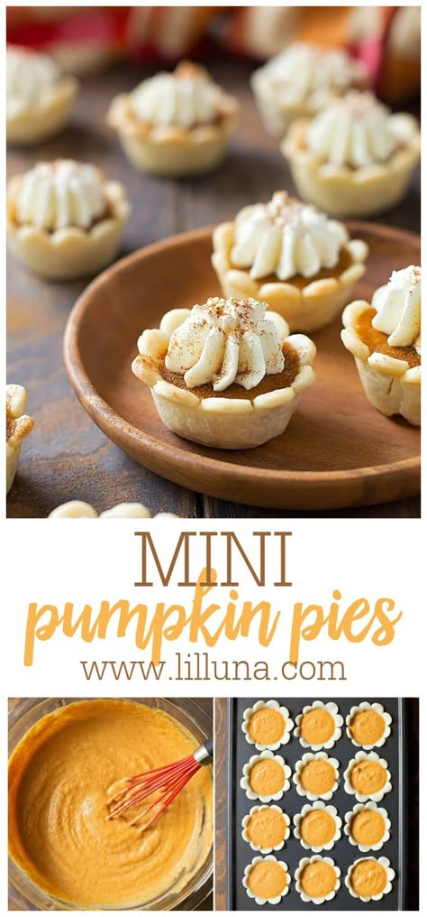 Mini pumpkin pies are everything you love about a smooth and creamy homemade pumpkin pie, in a cute & tasty bite sized portion!! #minipumpkinpie #pumpkinpie #minipie #thanksgiving #pumpkin Easy To Make Finger Foods, Thanksgiving Petit Fours, Pumpkin Pie Mini Pies, Mini Pumpkin Pie Recipe Easy, Mini Pumpkin Cream Cheese Pies, Mini Thanksgiving Pies, Pumpkin Tarts Mini, Pumpkin Pies Mini, Pumpkin Pie Flowers