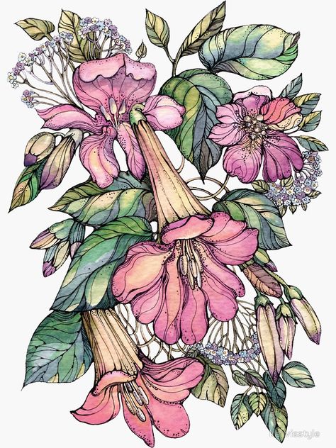 "Red Trumpet Vine flowers on blue" Sticker by kanvisstyle | Redbubble Vine Flowers, Vine Drawing, Mother Nature Tattoos, Trumpet Vine, Human Canvas, Nature Tattoos, Flowering Vines, Watercolor Sketch, Flower Wallpaper