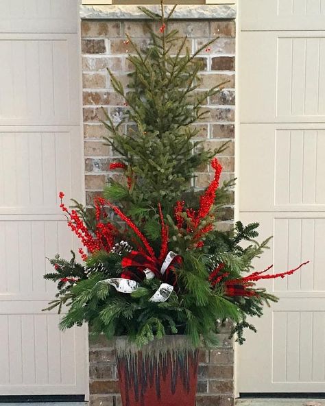 Outdoor Pine Tree Christmas Decor, Christmas Tree In Planter, Christmas Tree Planter, 4ft Christmas Tree, Porch Christmas Tree, Winter Pots, Porch Pots, Prepare For Christmas, Outdoor Christmas Planters