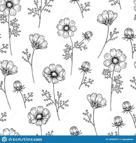 Medical Herbs, Flowers Vector, Engraving Art, Cosmos, Flower Tattoo, Packaging Design, Seamless Patterns, Stock Vector, Hand Drawn