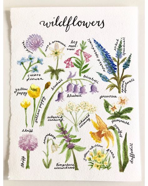 Wildflowers Aesthetic Drawing, Watercolour Postcards, Wildflower Garden Drawing, Wildflower Journal, Wildflower Watercolour Painting, Wildflower Clipart Wild Flowers, Botanical Sketchbook, Watercolor Postcard, Baby Wall Art