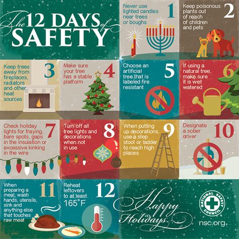 The 12 Days of Safety. #SafetyFirst #SafetyAlways Safety Infographic, Safety Talk, Safety Topics, Office Safety, Fire Safety Tips, Home Safety Tips, Winter Safety, Safety Poster, Candle Plant