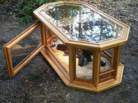 Reptile Tank Ideas, Terrarium Easy, Diy Reptile Enclosure, Snake Cages, Diy Snake, Diy Reptile, Bearded Dragon Enclosure, Bearded Dragon Cage, Snake Enclosure