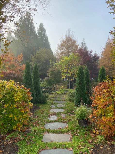 Yvonne’s Autumn Garden - FineGardening Autumn Gardening Uk, Garden Textiles, Pretty Pathways, Miscanthus Morning Light, Pictures Of Fall, Gardening Photos, Fall Gardens, Green Giant Arborvitae, Japanese Inspired Garden