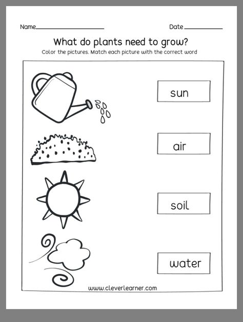 Types Of Plants Worksheets For Grade 1, Uses Of Plants Worksheet, Needs Of Plants Kindergarten, Parts Of A Plant Worksheet Grade 1, What Plants Need To Grow Worksheet, Free Science Worksheets, Science Safety, First Grade Worksheets, Science Articles