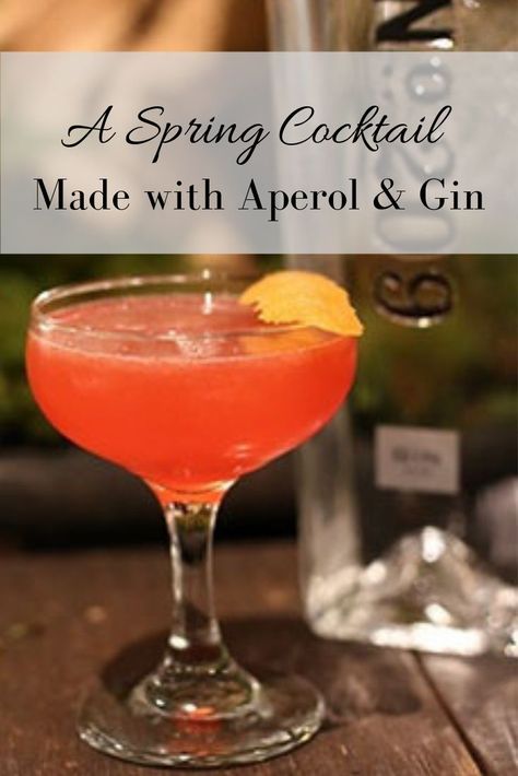 A Hare Above the Rest - an Aperol and Gin-based cocktail recipe perfect for springtime parties, barbecues and an afternoon drink. #cocktails #cocktailrecipe #entertaining #Aperol #EatSomethingSexy Aperol Cocktail Recipes Vodka, Aperol Cocktail Recipes, Cocktails With Aperol, Orange Gin Cocktail Recipes, Aperol Cocktail Recipes Gin, Grapefruit And Gin Cocktail, Spring Cocktails Recipes, Orange Cocktails, Gin Brands