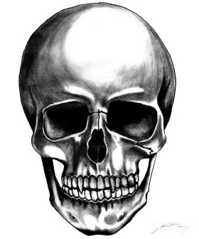 Skeleton Head Drawing, Skull Human, Vampire Skull, Skull Sketch, Skeleton Drawings, Art Assignments, Drawing Ideas List, Skull Art Drawing, Skulls Drawing