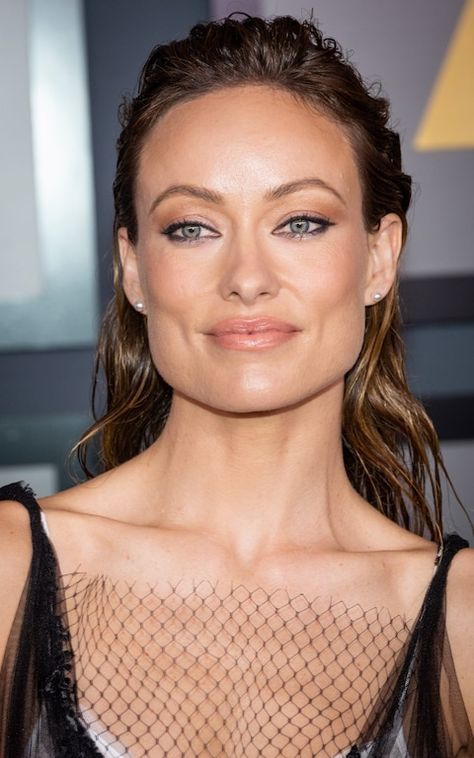 Olivia Wilde Eyes, Olivia Wilde Tron Legacy, Olivia Wilde Hair, Arch Brows, Chanel Les Beiges, Full Brows, Winter Typ, Best Concealer, Dark Under Eye