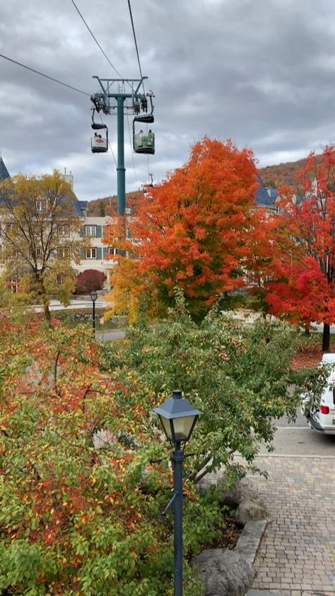 the_travelling_lipstick on Instagram: That time of the year again !! ♥️ #october #fall #autumn #montreal #monttremblant Mont Tremblant Fall, Prateek Kuhad, Stick Season, Mont Tremblant, Scrapbook Ideas, Time Of The Year, Fall Autumn, Montreal, Lamp Post