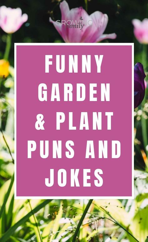 Garden puns and garden jokes to make you giggle - Growing Family Garden Whimsy Yard Art, Garden Humor Hilarious, Garden Humor, Gardening Signs, Garden Themes, Garden Jokes Humor, Garden Quotes Funny, Garden Sign Ideas, Herb Quotes