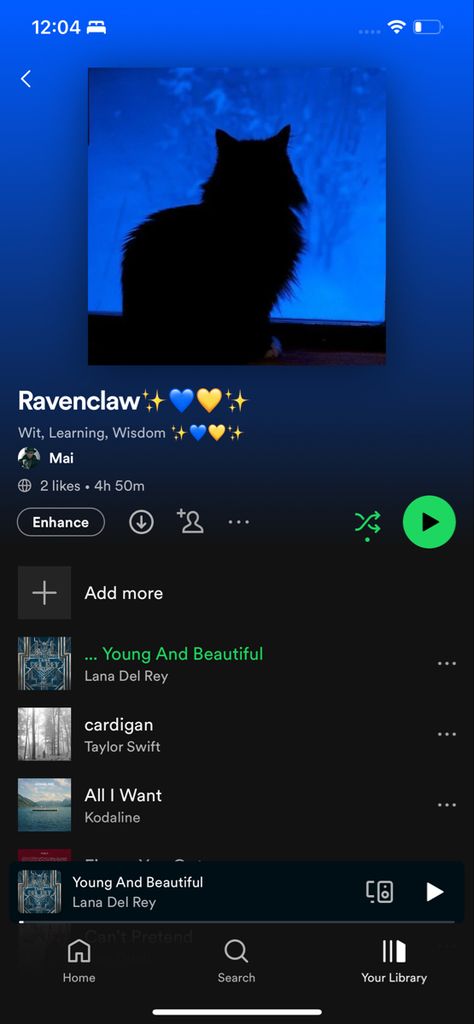 Ravenclaw Songs, Disney Playlist Names, Ravenclaw Playlist, Disney Playlist, Autumn Core, Hogwarts Dr, Ravenclaw Aesthetic, Playlist Names, Playlist Names Ideas