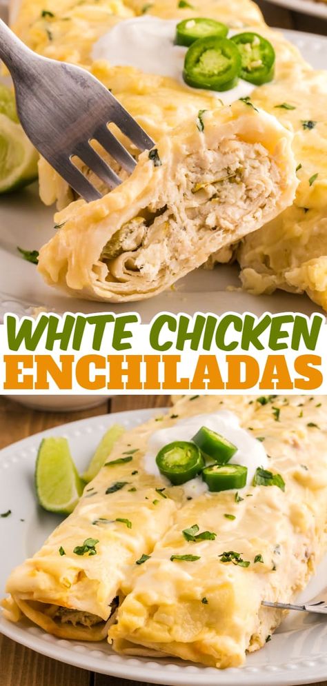 Chicken Enchiladas With Green Sauce Cream Cheese, Cream Cheese Chicken Enchiladas 12 Tomatoes, Chicken And Cheese Enchiladas With Green Chili, Chicken Enchiladas With White Sauce Cream Cheese, Chicken Enchiladas With White Sauce Cream Cheese Green Chilis, Green Cream Cheese Enchiladas, Chicken And Cream Cheese Enchiladas, White Chicken Enchiladas Corn Tortillas, Gluten Free Chicken Enchiladas Easy