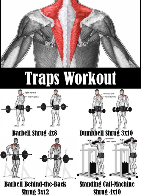 Trap Workouts For Men, Trap Muscle Workout, Traps Workout Women, Upper Traps Workout, Trap Workout Men Exercises, Trap Workout Women, Crossfit Plan, Trap Workout, Workout Form