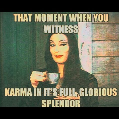 I SO want to drive the karma bus!!!! Bus Quotes, Sarcasm Humor, Have A Laugh, Bones Funny, Memes Quotes, Meaningful Quotes, Favorite Quotes, I Laughed, Book Worth Reading