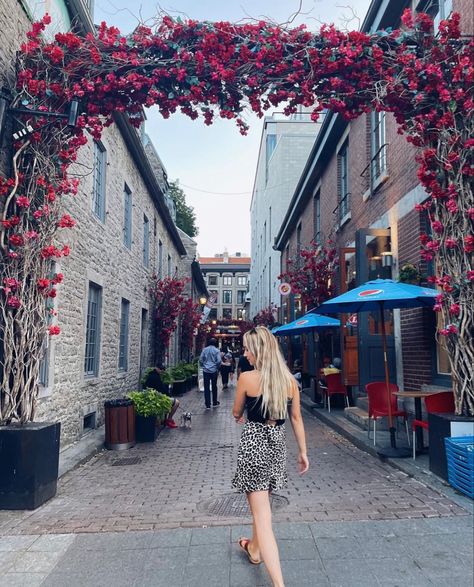 Montreal Instagram Pictures, Montreal Photo Ideas, Quebec Travel, Montreal Travel, Old Montreal, Photo Summer, Photography Flowers, Montreal Quebec, 2025 Vision