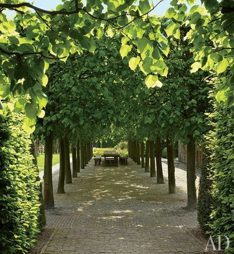 A Heavenly Home and Garden in Belgium | Architectural Digest Shade Tolerant Plants, Axel Vervoordt, Longwood Gardens, Green Garden, A Park, Garden Room, Dream Garden, Walkway, Hedges