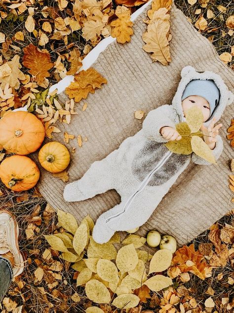 3 Months Fall Pictures, 4 Month Fall Photoshoot, 4 Month Old Fall Photoshoot, Autumn Newborn Photos, Fall Theme Newborn Photo Shoot, Fall Pictures Baby Boy, Newborn Baby Fall Photoshoot, 6 Month Fall Photoshoot, Fall Pictures For Babies