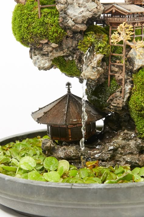 Cliff Bonsai tree, miniature landscape Mini Bonsai Garden, Micro Landscape, Japanese Terrarium, Miniature Landscape, Japanese Garden Terrarium, Bonsai Tree Zen Garden, Bonzai Tree Terrarium, Bonsai Miniature Garden, Japanese Miniature