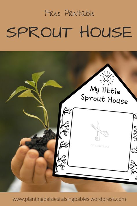 Sprout House Science Project, Greenhouse Template Free Printable, Sprout House Printable, Planting Daisies, Seed Germination For Kids, Seeds Preschool, Sprout House, School Greenhouse, Teacher Fonts