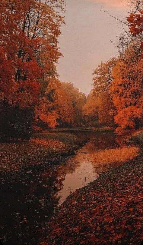 Fall Wallpaper Backgrounds, Iphone Fall Wallpaper, Hello October Images, Rainy Autumn Day, Rainy Autumn, The Best Aesthetic, Best Aesthetic, Pumpkin Images, Western Wallpaper Iphone