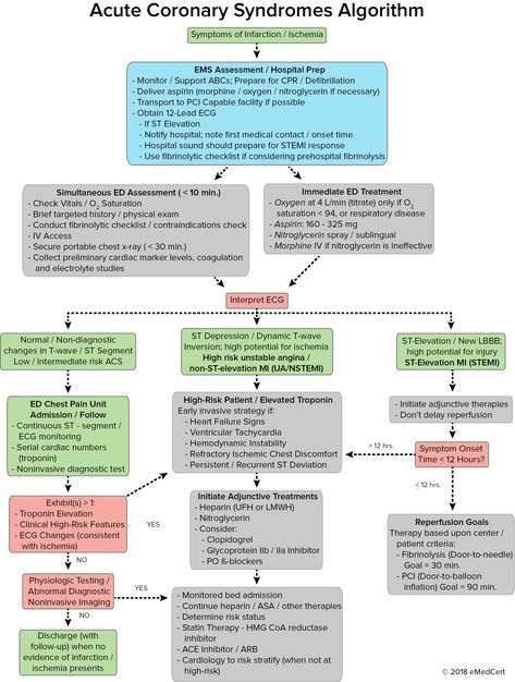 ACLS Algorithms: ACS Algorithm | eMedCert Acls Algorithm, Ekg Rhythms, Pathophysiology Nursing, Cardiac Rehab, Physician Assistant School, Advanced Cardiac Life Support, Acute Coronary Syndrome, Mcat Study, Nurse Study Notes