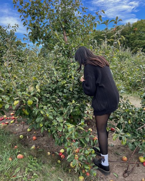 Apple Picking Photos, Apple Picking Outfit Fall, Apple Picking Outfit, Fall Outfits Aesthetic, Fruit Picking, Trip Outfits, Fall Apples, 2023 Vision, Apple Orchard