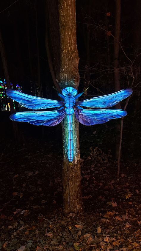 Rave Decor, Tropical Garden Party, Glow Halloween, Glow In Dark Party, Cardboard Box Crafts, Electric Forest, Lawn Art, Dragonfly Art, Cary Nc