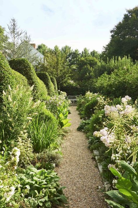 Landscaping Around Pool, Hill Landscape, Horse Chestnut Trees, Veranda Magazine, Cedar Pergola, Limelight Hydrangea, California Garden, Life Vision, Outdoor Room