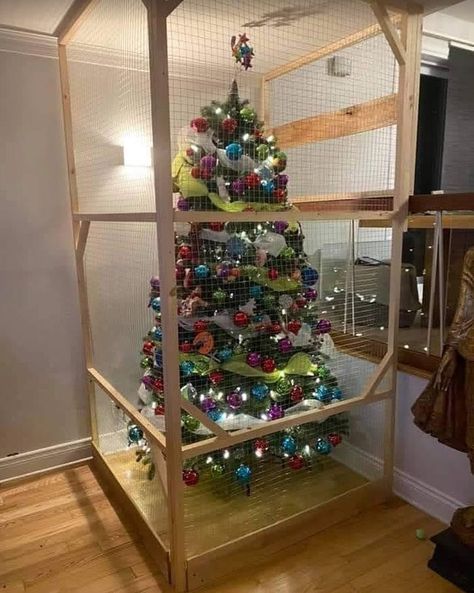 Pet-Proofing Christmas Trees: The Funniest Examples Cat Proof Christmas Tree, Gifts Drawing, Cat Proofing, Cat Christmas Tree, 3 Cats, Santa Photos, Gift Drawing, Crafts Decor, Fabulous Christmas