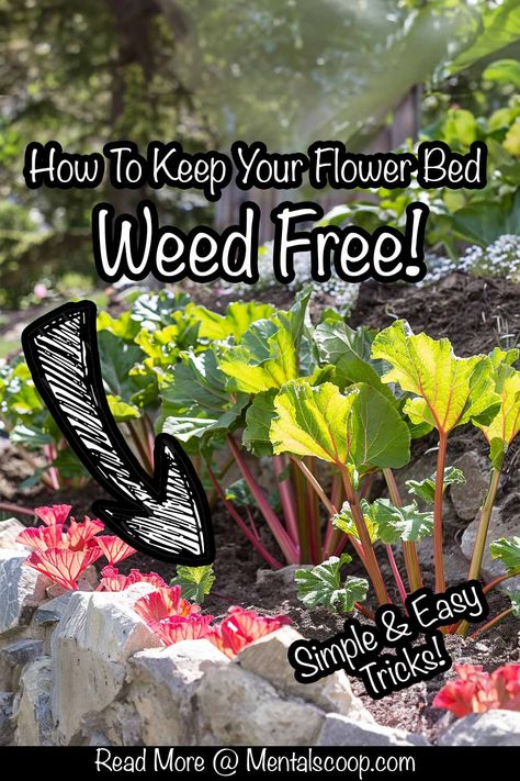 Growing Veggies, Simple Tricks, Flower Beds, Plant Lover, My Flower, Garden Plants, Flower Garden, Herbs, Canning