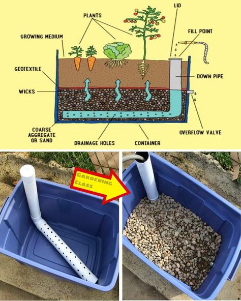 Aquaponics Diy How To Build, What Vegetables To Plant Together, Potted Vegetable Garden, Creative Garden Projects, Horticulture Projects, Composting For Beginners, Gardening Diy Projects, Ideas For The Garden, Garden Design Diy