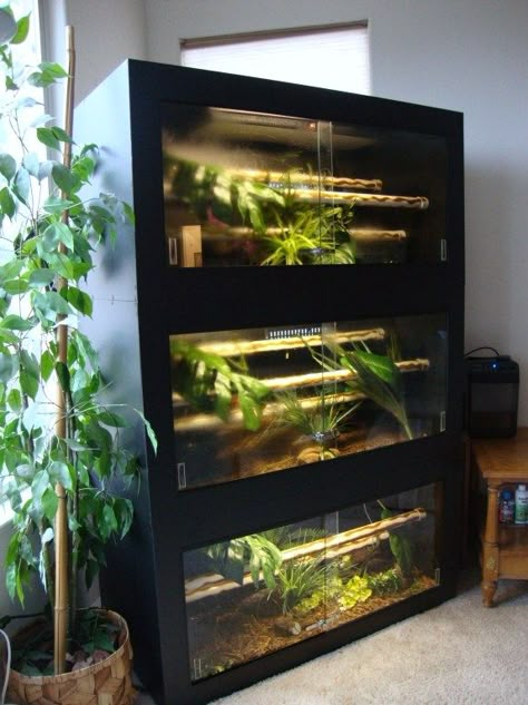 stacked reptile enclosure, just need to make sure its escape proof Stacked Reptile Enclosure, Stacked Terrarium, Snake Enclosure Ideas Diy, Reptile Room Ideas, Snake Room, Reptile Enclosure Ideas, Reptile Store, Snake Cages, Diy Reptile