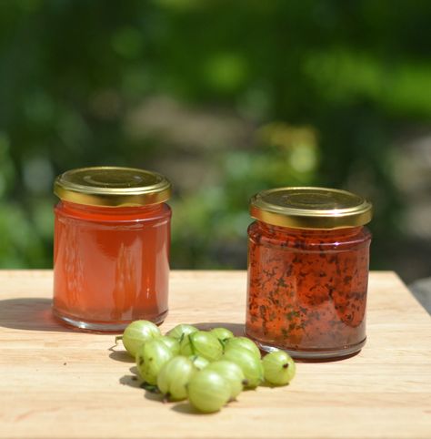 Gooseberry Jelly Gooseberry Jelly Recipe, Gooseberry Jelly, Canning Jams, Gooseberry Recipes, Canning Jam, Jelly Recipe, Family Eating, Jelly Recipes, Food Heaven