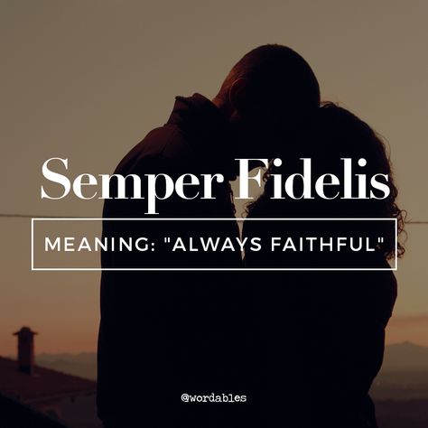 semper fidelis Semper Fidelis, Latin Quotes, Latin Language, Beautiful Meaning, Latin Phrases, Language Quotes, Motivational Quotes For Students, A Bottle Of Wine, Italian Quotes