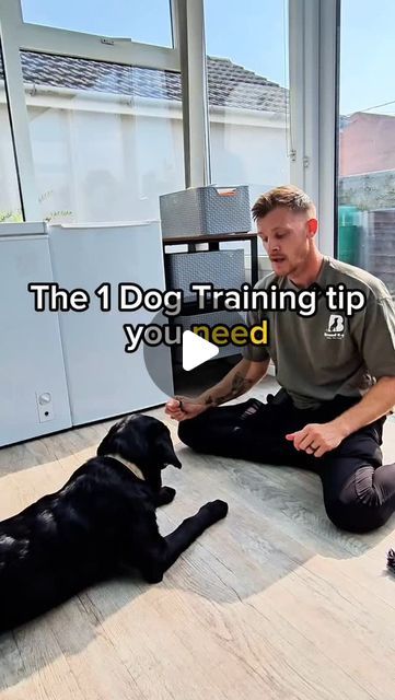 Josh | Dog Training & Behaviourist on Instagram: "The #1 dog training tip you need ⤵️

This will MASSIVELY help ⤵️
🐕 Lead walking
🐕 Recall 
🐕Obedience
🐕 Ignoring other dogs 

And it's the Focus/engagement drill

If your dog can FOCUS on you in these situations and multiple others, it will improve everything. 

For just 2 Minutes ⏳️ every day, practice this

1. Place food in your hand 
2. Nearest your dog in it
3. Close your hand 
4. Wait for eye contact from your dog 
5. Reward 

Simple! Practice this every day so they learn they looming at you is the BEST thing. When they are doing it consistently, add the "focus" or "watch" command. 

Try this in front of the TV and at times where it suits you. It is easy and simple, but the difference will be huge. 

Follow for more tips ✨️ 

#dogtr Cream Retriever, Dog Training Hand Signals, Puppy Dog Pictures, English Cream, Dogs Stuff, Dog Tips, Dog Ideas, Dog Info, Eye Contact