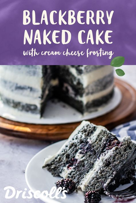 Blackberry Cake Recipe Easy, Blackberry Jam Cake, Blackberry Cake Recipe, Sweet Hawaiian Crockpot Chicken Recipe, Frozen Fruit Recipes, Blackberry Cake, Cake Filling Recipes, Berry Dessert, Cake Recipes From Scratch