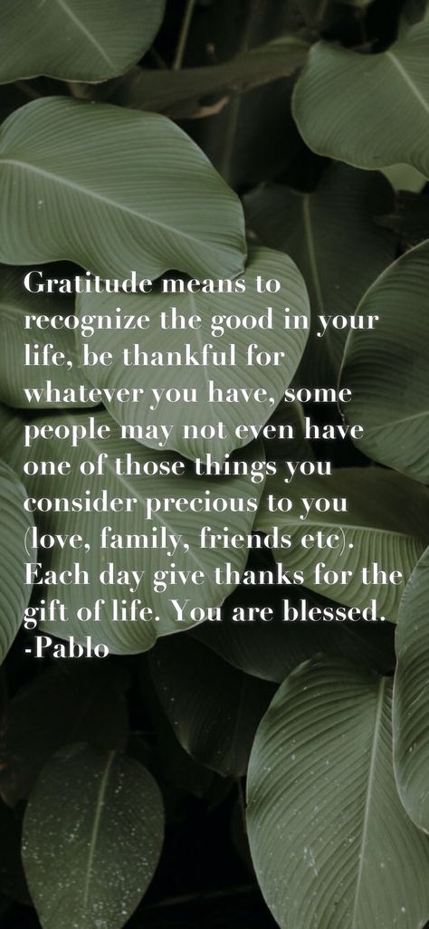 Be Thankful For What You Have, Family Love Quotes Blessed Be Thankful, You Are A Blessing In My Life, Family Quotes Blessed Be Thankful, Gratitude Meaning, Quotes About Your Children, Plato Quotes, Family Love Quotes, Prayers Of Encouragement