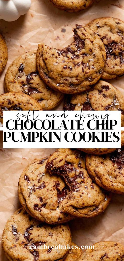 These pumpkin chocolate chip cookies are everything you love about a classic chocolate chip cookie- soft and chewy (not cakey), but loaded with cozy pumpkin spice flavor. You'll love this no-chill, no-mixer cookie recipe for the fall season! Chewy Fall Cookies, Baking Recipes With Chocolate Chips, Cookies Fall Recipes, Baked Goods Recipes Healthy, Pumpkin Fall Baking, Best Pumpkin Chocolate Chip Cookies Recipe, Pumpkin Choco Chip Cookies, Gf Pumpkin Chocolate Chip Cookies, Easy Pumpkin Cookies Chocolate Chips