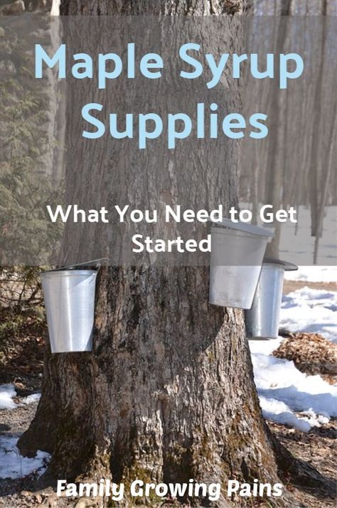 Are you interested in making maple syrup at home? Tapping your own maple trees is easy - seriously! First, you have to get the right maple syrup supplies. Check out the supplies that we use to tap our trees in our backyard. Maple Syrup Tree, Maple Syrup Taps, Maple Tapping, Diy Maple Syrup, Tapping Maple Trees, Homemade Maple Syrup, Maple Syrup Recipes, Homesteading Diy, Tree Textures